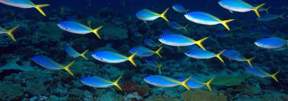 Britain’s Treasure Islands
