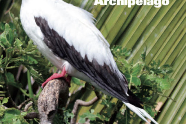 ‘Guide to the Birds of the Chagos Archipelago’ is out and available to buy from the CCT online bookshop