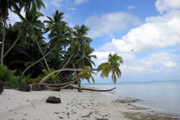 Middle Brother island