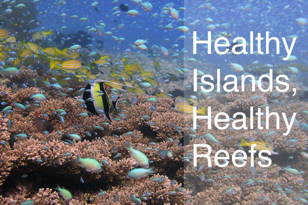 Healthy Islands, Healthy Reefs