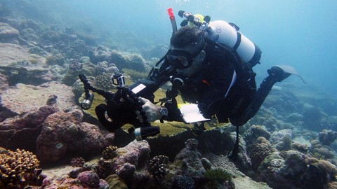 BIOT Science Expedition 2014 - Back to diving… Day 8