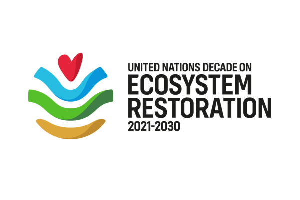 Chagos Conservation Trust joins official partner network of the United Nations Decade on Ecosystem Restoration 2021-2030