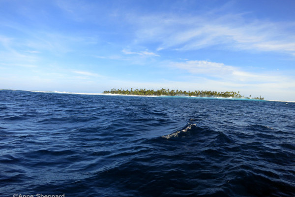 Chagos island view from far away on a boat