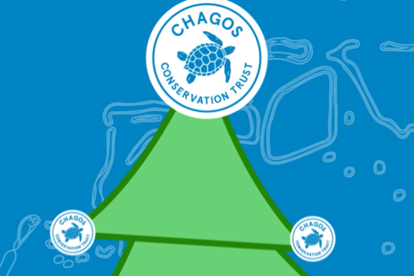 Chagos Christmas cropped illustration