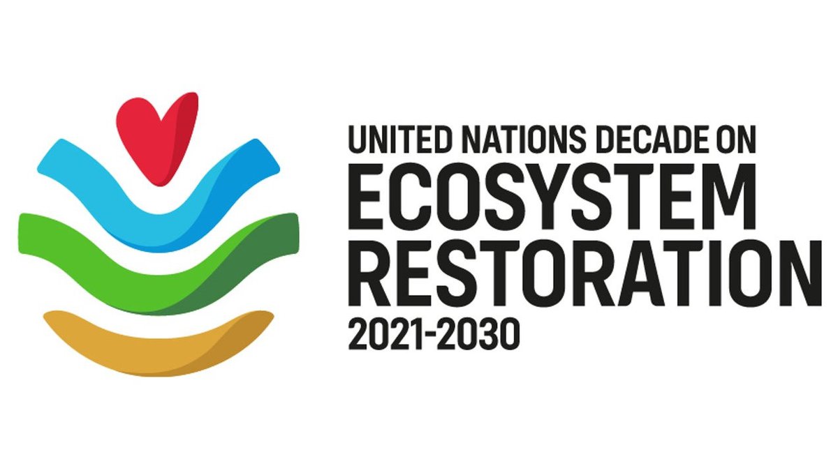 United Nations Decade on Ecosystems Restoration 2021-2030 logo