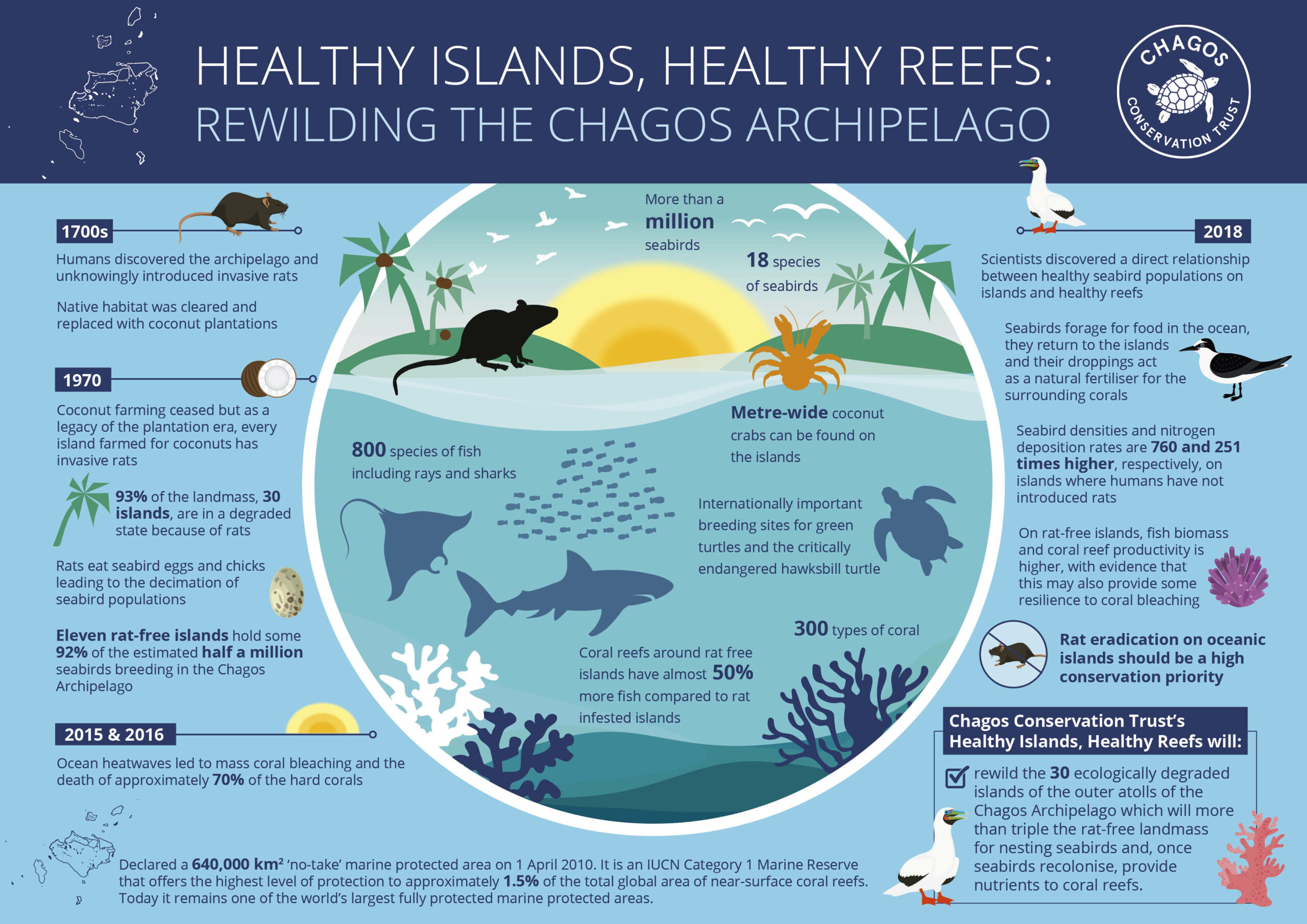 Healthy Islands, Healthy Reefs: rewilding the Chagos archipelago infographic