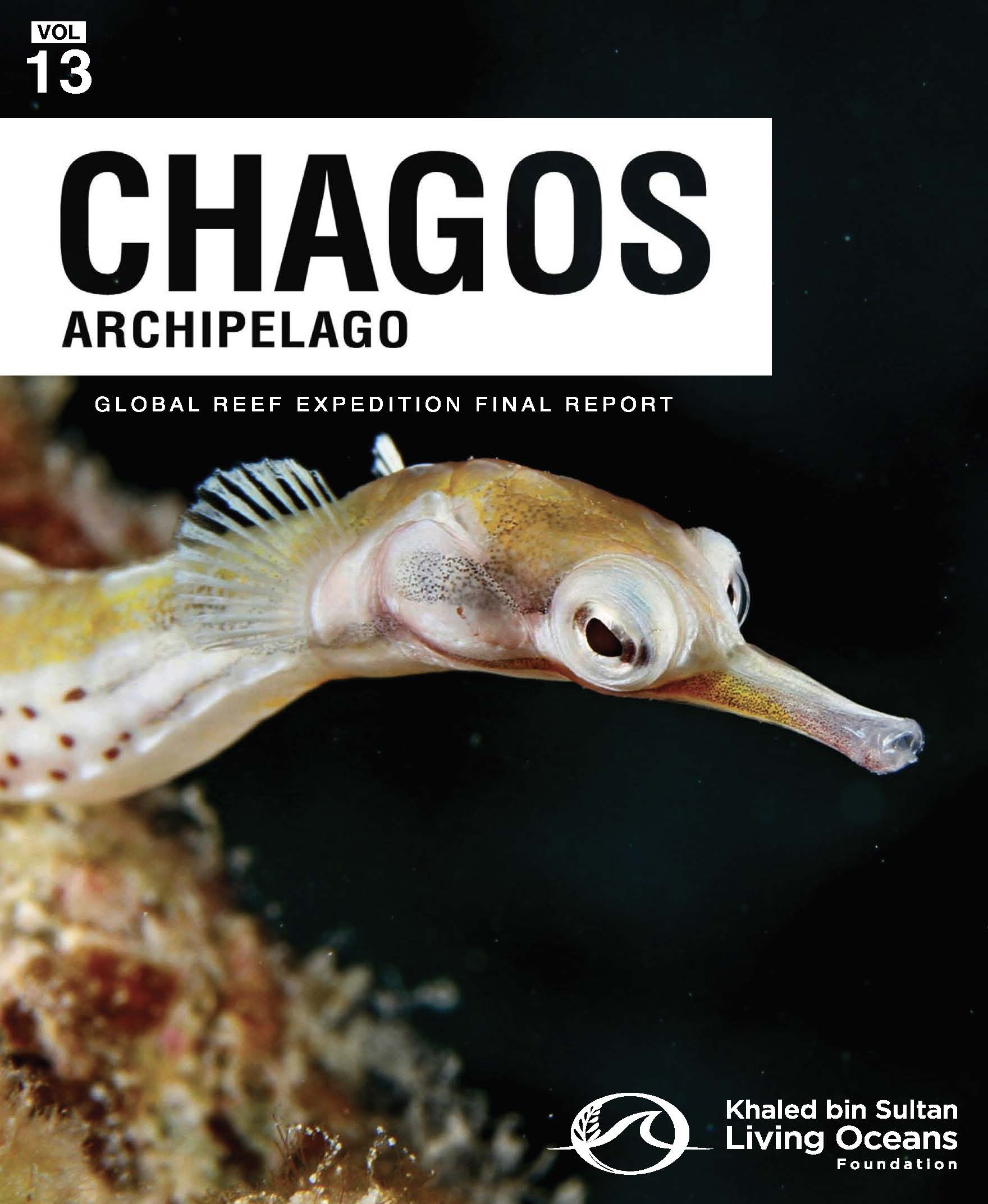 Cover of global reef expedition report featuring a seahorse upclose