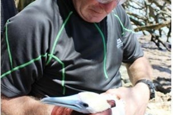 Peter Carr holding a Red-footed Booby