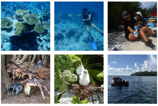 A collage of photos featuring people and species of Chagos