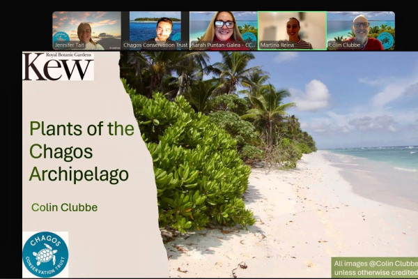 Screenshot of recording Recording of ‘Plants of the Chagos’ members’ talk by Kew’s Dr Colin Clubbe