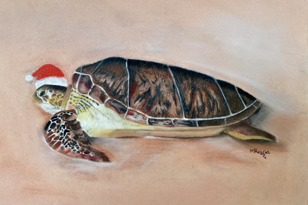 Turtle illustration with Christmas hat